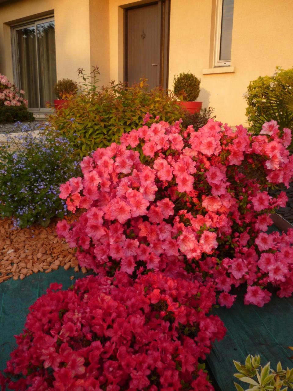 Chez Bernard Et Nicole Bed & Breakfast Betton Dış mekan fotoğraf